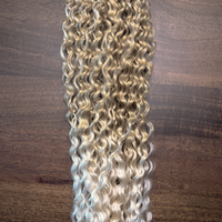 Lina Platine Ombré 27/613#