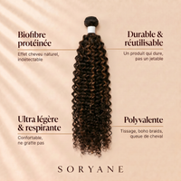 Maya Automne Ombré SP4/27/30#