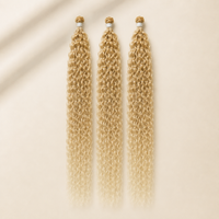 Lina Platine Ombré 27/613#