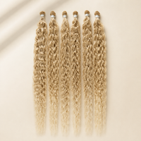 Lina Platine Ombré 27/613#