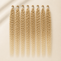 Lina Platine Ombré 27/613#