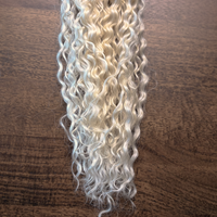 Lina Platine Ombré 27/613#