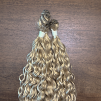 Lina Platine Ombré 27/613#