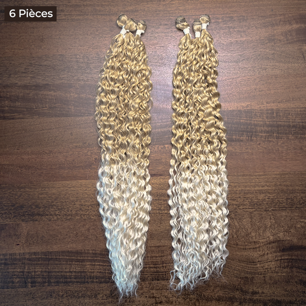 Lina Platine Ombré 27/613#