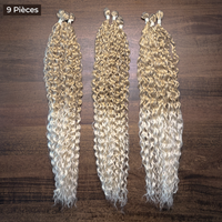 Lina Platine Ombré 27/613#